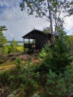 Utsikten, Dalskog
